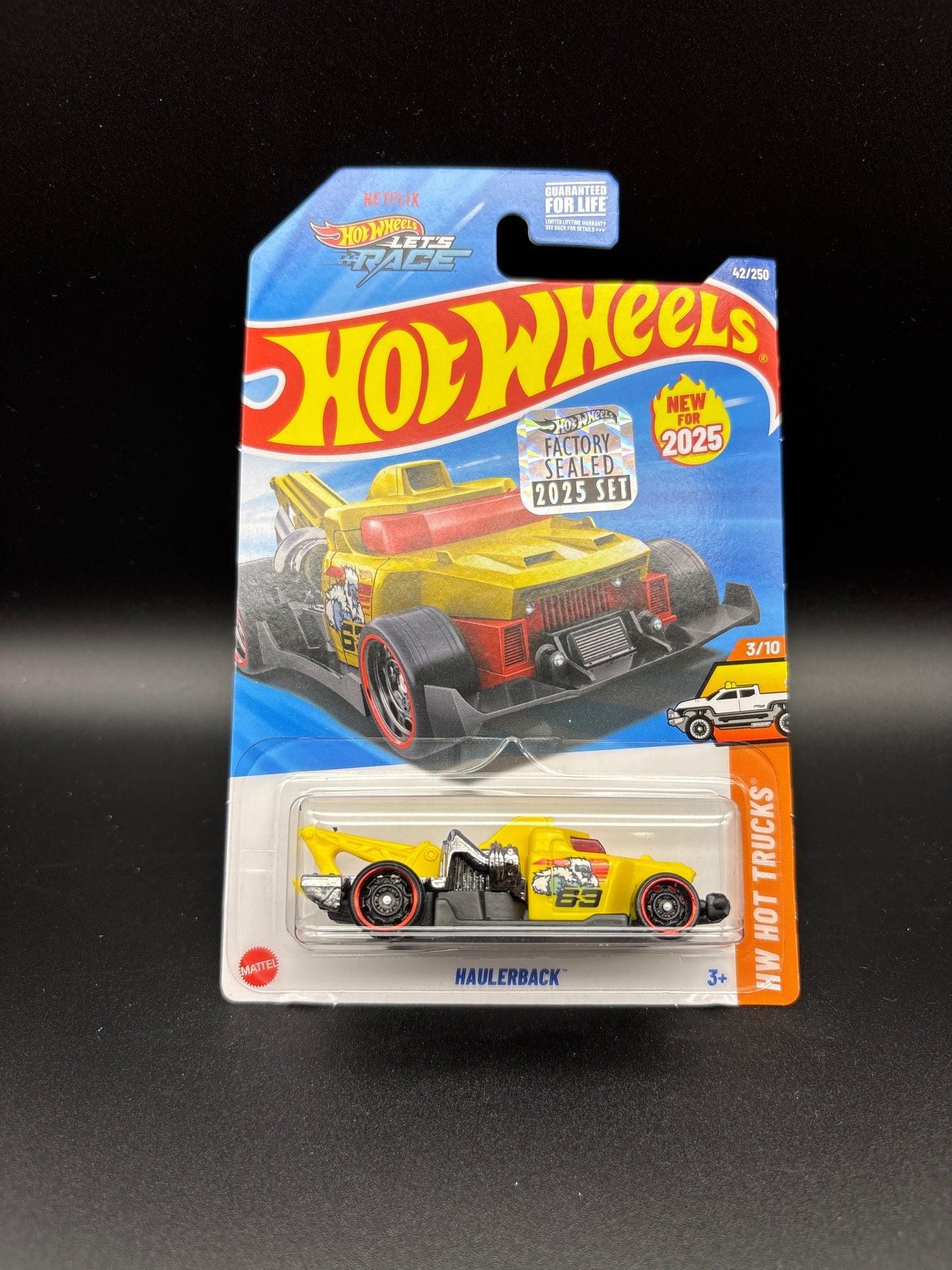 HAULERBACK