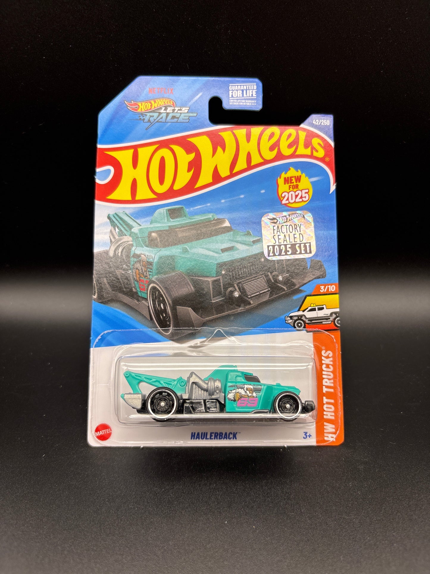 HAULERBACK