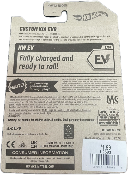 Custom Kia EV6